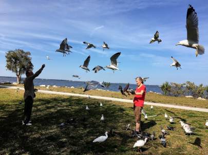 amazing-birds-on-arms-2017-wintergooglefixed