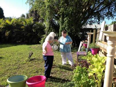 watering-our-herb-garden-googled